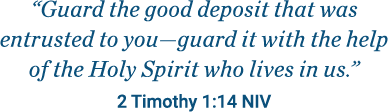 2 Timothy 1:14 NIV